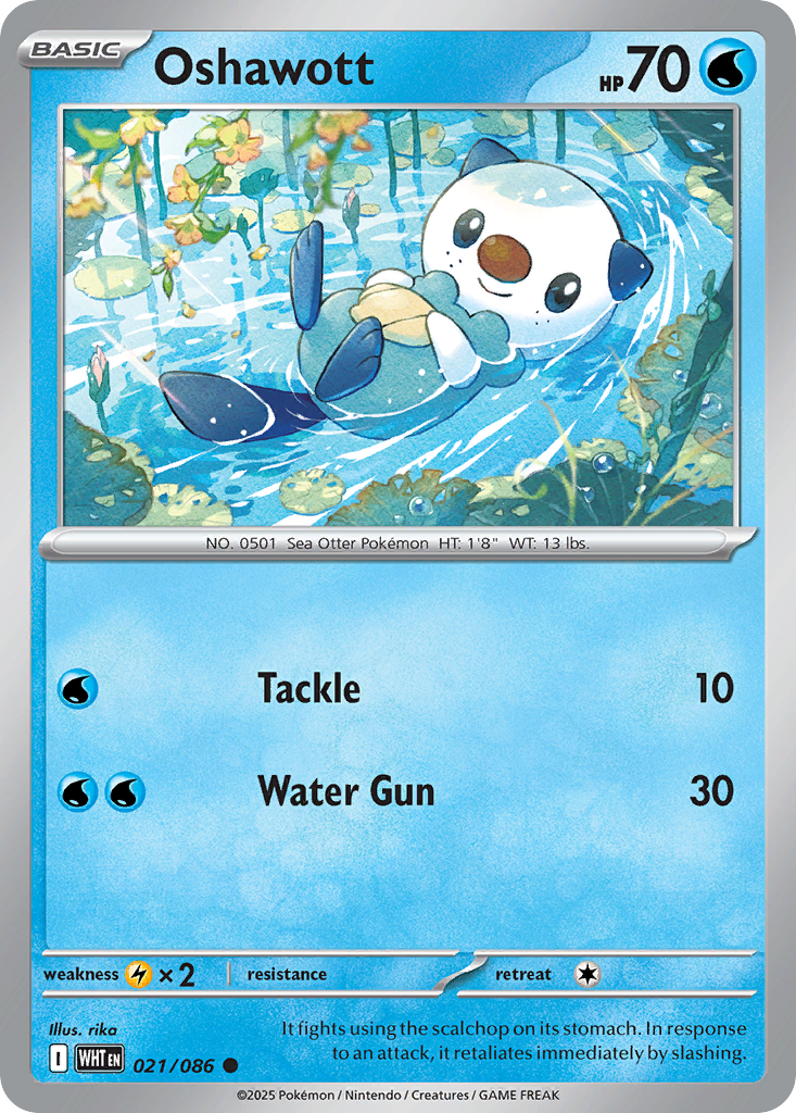 Oshawott ( Holo Black&White)